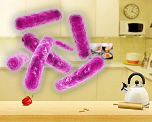 Микробы на кухне
